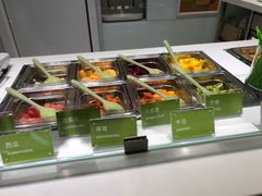 -Salud撒露欧洲冻酸奶(北苑上品店)