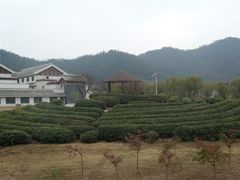 -余姚阳明温泉山庄