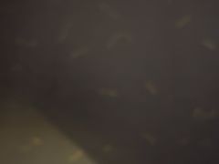 -唐宫足道·SPA·影院会馆(木渎店)