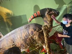 -恐龙探索乐园(磁器口店)