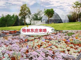 广州一家可以骑马、射箭、滑草、射箭、磨豆浆的亲子农庄