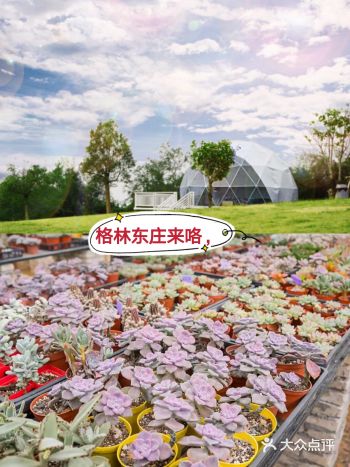广州一家可以骑马、射箭、滑草、射箭、磨豆浆的亲子农庄