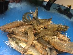 -加餐海鲜自助(宝龙一城店)