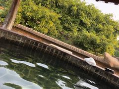 -龙达温泉生态城