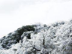 -梵净山旅游区