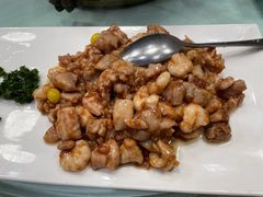 鸡里蹦-丁老爷子苏香圆