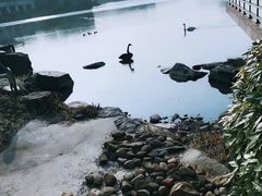 -上海怡沁园度假酒店