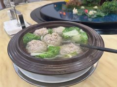 -丁老爷子苏香圆