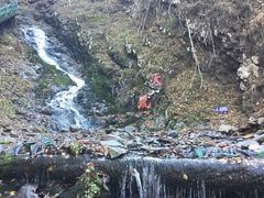 -凤凰山国家森林公园