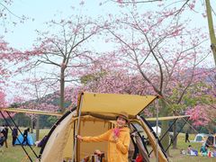 -风云岭森林公园