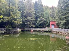 -山王坪喀斯特国家生态公园