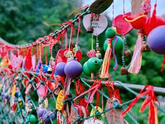 -西双版纳原始森林公园