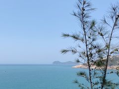 -广东惠东海龟国家级自然保护区