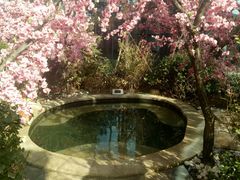 -悦隆庄温泉度假酒店