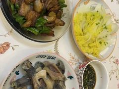 -田螺阿姨自营月嫂·育儿嫂(高新店)