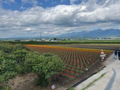 -富田农场