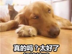 -山城外·非遗酸菜鱼(财富中心店)