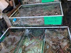 -拉威海鲜市场