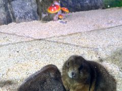 -正佳雨林生态植物园