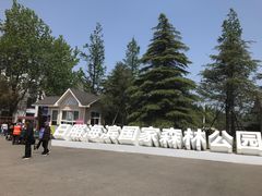 -日照海滨国家森林公园