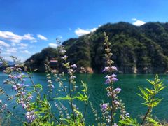 -京东石林峡风景区