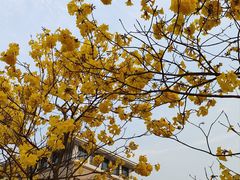 -广东财经大学(佛山校区)