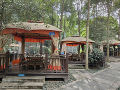 -二荆条·蜀鲜汇城市森林火锅