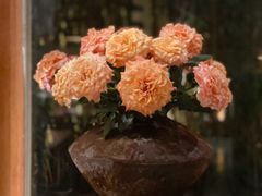 -天水蔬食料理(树德之光店)