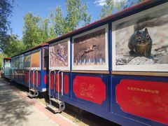 -永定河休闲森林公园