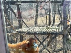 -哈尔滨北方森林动物园
