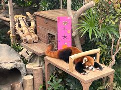 -长鹿旅游休博园