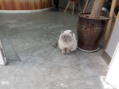 -武记碳锅鱼大盘鸡(杜岭街店)
