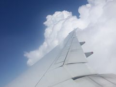 -新加坡航空公司(ION)