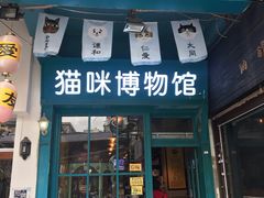 -猫咪博物馆(顶澳仔猫街店)