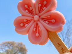 -桃花堤公园