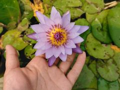 -迪茵湖田家舍生态农场