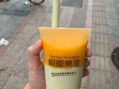 -桐园果汇(湖贝店)