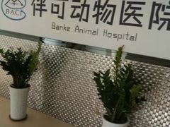 -美联众合动物医院·伴可分院·内科中心医院