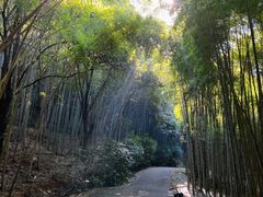 -苏州环秀晓筑养生度假村