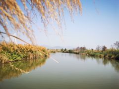 -芒洲湿地公园