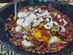 -金三可市井水煮鱼(金碧园店)