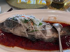 清蒸石斑鱼-老洋房花园饭店(绍兴路店)