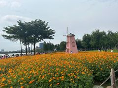 -顺峰山公园