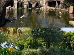 -芽庄珍珠岛游乐园