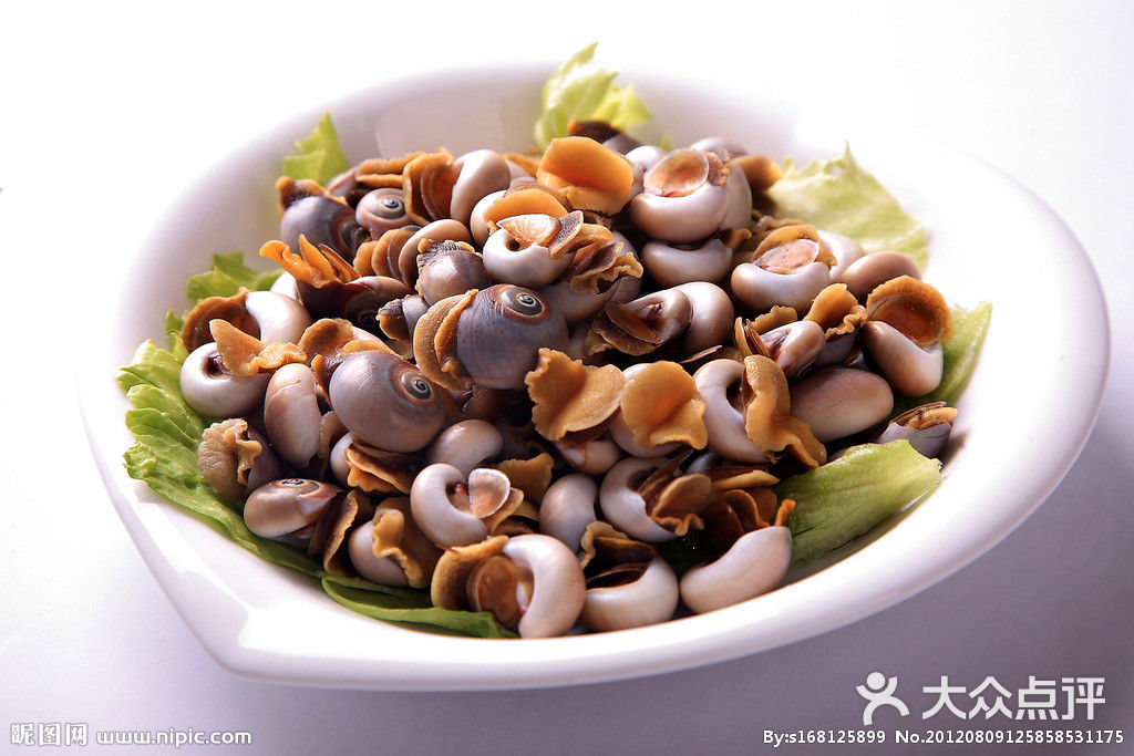 潮滋味☆野味海鲜潮汕菜小吃茶点香螺图片 - 第60张