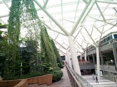 -南洋理工大学A号餐厅