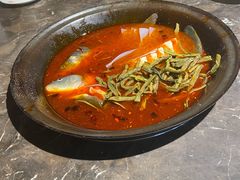 -肥鱼屯活鱼锅(惠工街店)