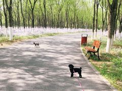 -东郊湿地公园
