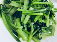 -煲来饱去冷水鱼