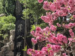 -碑林公园